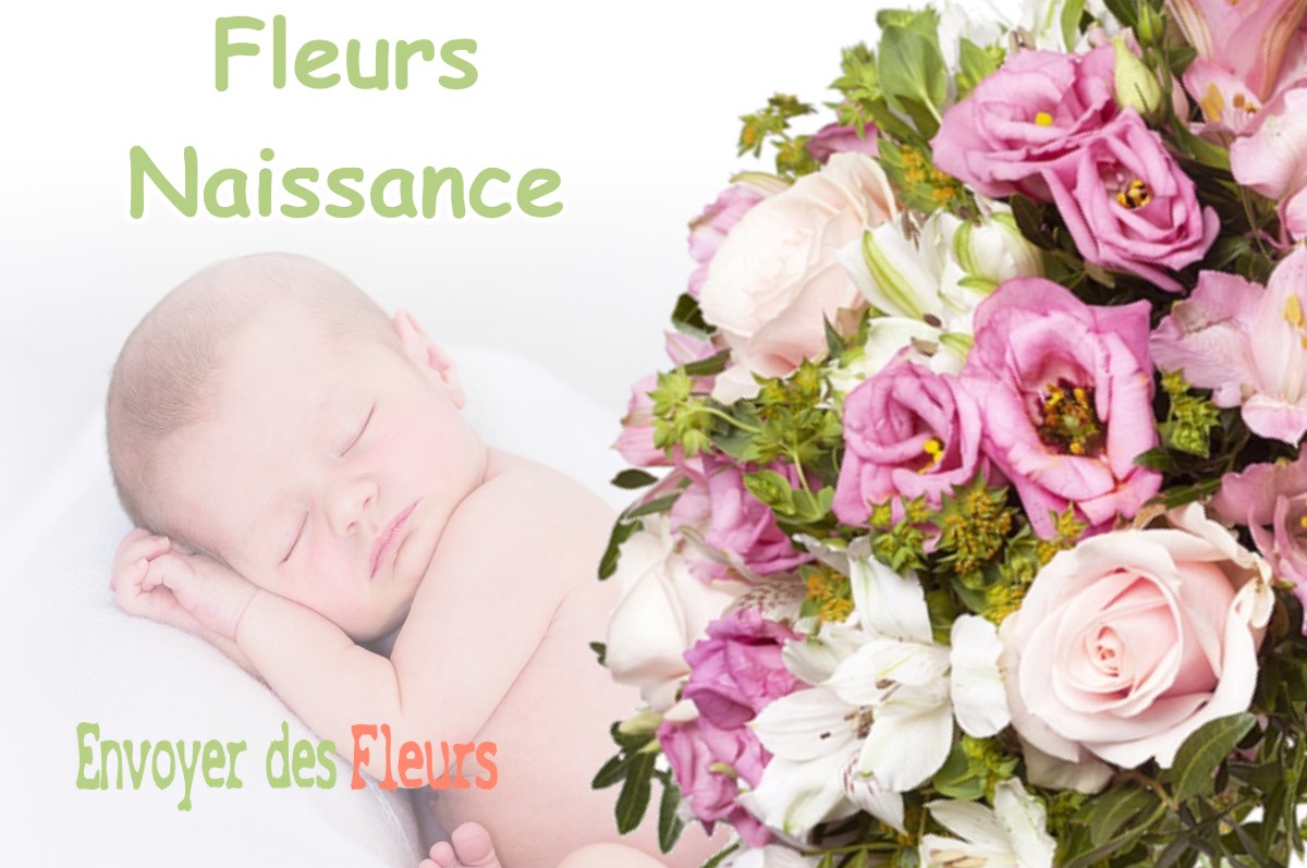 lIVRAISON FLEURS NAISSANCE à GEMENOS